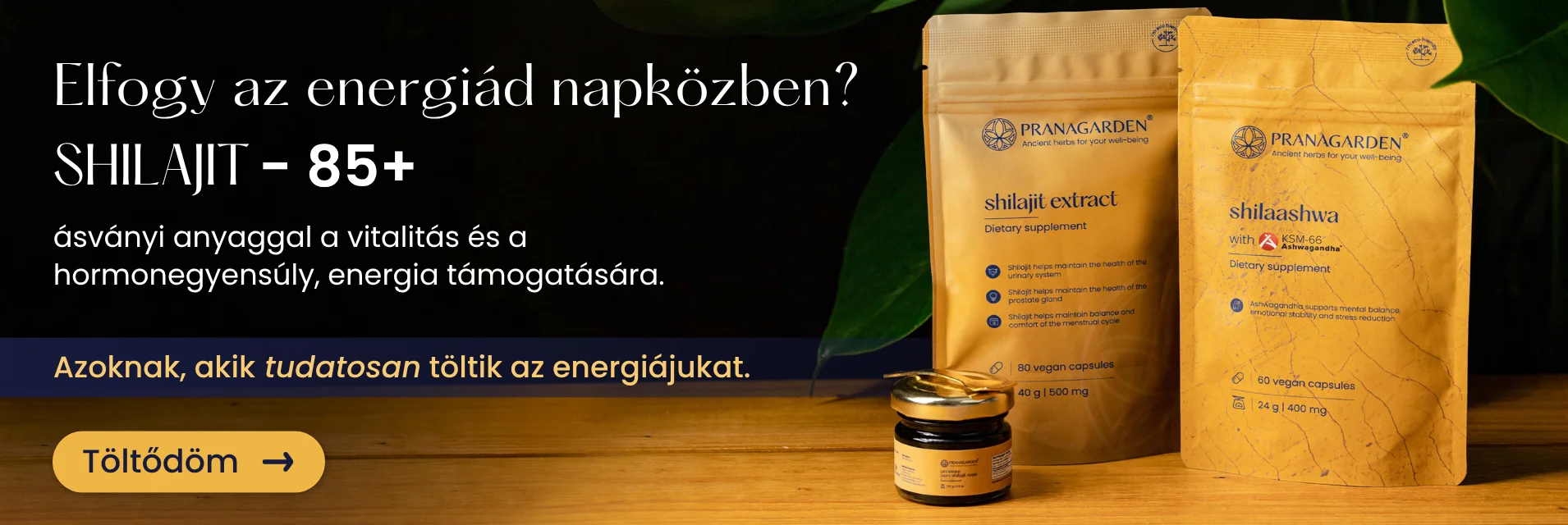 Shilajit készítmények 