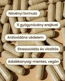 3 csomag Immunity Plus - gyógynövény mix kapszula, 3x60 db