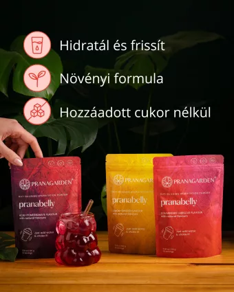   Pranabelly magas rosttartalmú bélflóra támogató pre-probiotikus víz italpor csomag eper és acai 