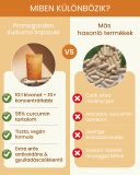 Kurkuma gyógynövény kivonat (10:1) - gyógynövény kapszula, 80 db