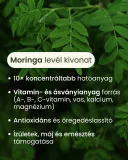Energia és tápanyag pótlás Moringa levél kivonat (10:1) - gyógynövény kapszula, 80 db