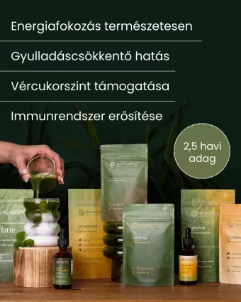   Moringa gyógynövény levél kivonat (10:1) - gyógynövény kapszula, 80 db