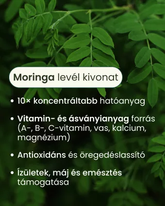 Energia és tápanyag pótlás Moringa levél kivonat (10:1) - gyógynövény kapszula, 80 db