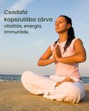 Moringa gyógynövény levél kivonat (10:1) - gyógynövény kapszula, 80 db