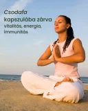 Energia és tápanyag pótlás Moringa levél kivonat (10:1) - gyógynövény kapszula, 80 db