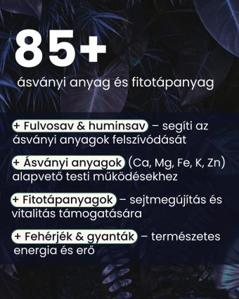   Shilajit (10:1) kivonat energia és vitalitás gyógynövény kapszula 80 db 