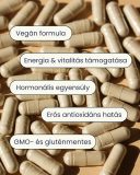 Shilajit (10:1) kivonat energia és vitalitás gyógynövény kapszula 80 db 