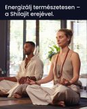 Shilajit (10:1) kivonat energia és vitalitás gyógynövény kapszula 80 db 