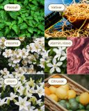 Aromaveda illatpálca – lakásillatosító, 250 ml