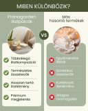 Namascent illatpálca - lakásillatosító, 250 ml