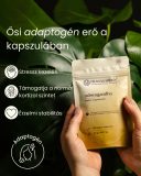 2 csomag Ashwagandha - gyógynövény kapszula, 2x80 db