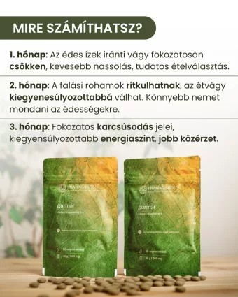 2 csomag Gurmar - gyógynövény tabletta, 2x80 db