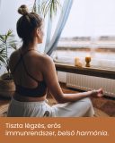 2 csomag Tulsi - gyógynövény por, 2x200 g