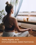 3 csomag Tulsi - gyógynövény por, 3x200 g