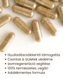 Boswellia Komplex - gyógynövény mix kapszula, 60 db