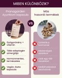 AyurWom - gyógynövény mix kapszula, 60 db