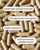 AyurWom - gyógynövény mix kapszula, 60 db