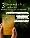 Pranabody - gyógynövény mix kapszula, 80 db