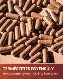 Stresszoldás és alvás támogatására Shodabra komplex gyógynövény formula