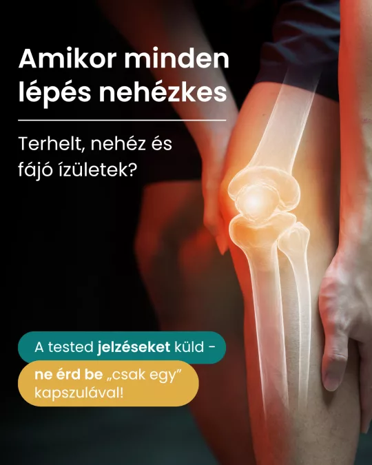  Ízületi rugalmasságot és mozgást támogató Prémium Joint Support gyógynövény kapszula 