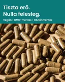  Ízületi rugalmasságot és mozgást támogató Prémium Joint Support gyógynövény kapszula 