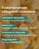 Ízületi rugalmasságot és mozgást támogató Prémium Joint Support gyógynövény kapszula 