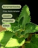 Gyógynövényes szájvíz természetes zöldmenta kivonattal, 300 ml