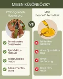 Nasya olaj ajurvéda orrcsepp, 30 ml