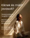 Shankhpushpi - 3 havi adag gyógynövény kapszula 