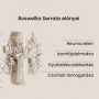 Boswellia Serrata - gyógynövény kapszula, 60 db