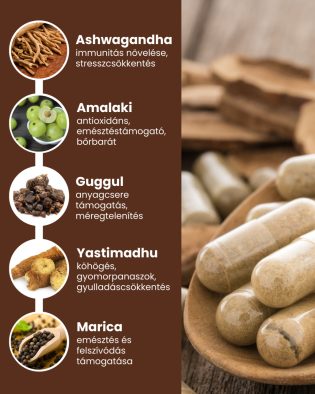 Immunity Plus - gyógynövény mix kapszula, 60 db