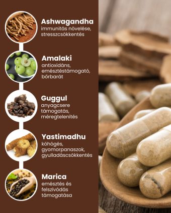 Immunity Plus - gyógynövény mix kapszula, 60 db