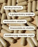 Immunity Plus - gyógynövény mix kapszula, 60 db