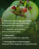 Zsírégető és étvágycsökkentő Garcinia cambogia gyógynövény kapszula  60 db