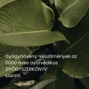 Ashwagandha +  - gyógynövény kapszula, 90 db