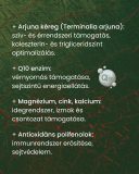 Arjuna - gyógynövény kapszula, 60 db