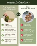 Arjuna - gyógynövény kapszula, 60 db