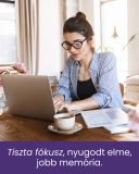 Brahmi - gyógynövény kapszula, 60 db