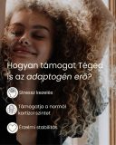 KSM-66 Ashwaganda - gyógynövény kapszula, 60 db