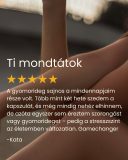 KSM-66 Ashwaganda - gyógynövény kapszula, 60 db