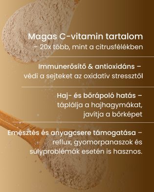 Amla - gyógynövény por, 200 g