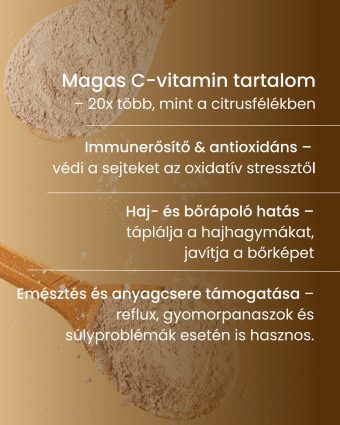 Amla - gyógynövény por, 200 g