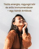 Amla - gyógynövény por, 200 g