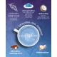 Kék spirulina latte őrölt levendulával - italpor 