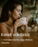 Chai Latte - tradicionális italpor keverék 