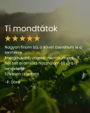 Chai Latte - tradicionális italpor keverék 