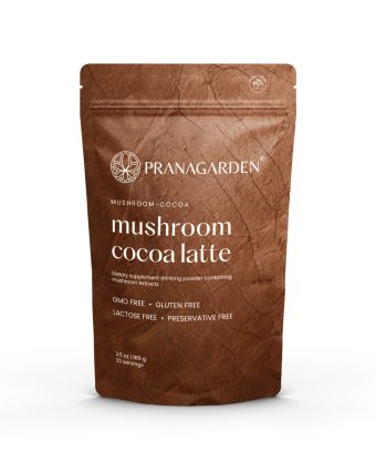 Gyógygomba és kakaó Latte - italpor, 100 g