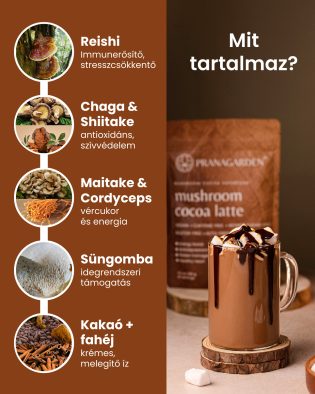 Gyógygomba és kakaó Latte - italpor, 100 g