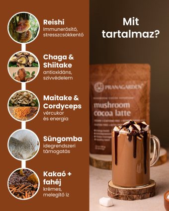 Gyógygomba és kakaó Latte - italpor, 100 g