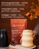 Pumpkin Spice sütőtökös ital-süteményalap, 100 g
